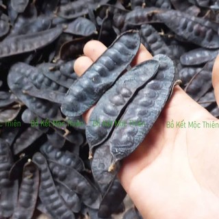 Bồ kết khô mẩy ( có ít lỗ mọt) chín cây sạch đẹp 1kg