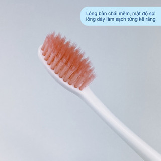Bàn chải đánh răng cao cấp Nude Hàn Quốc Good1 làm sạch sâu bảo vệ răng giảm hôi miệng
