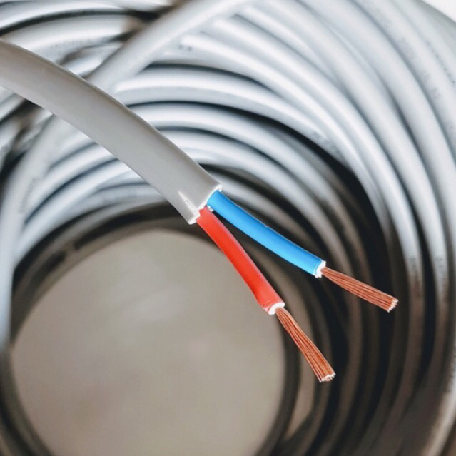 Dây điện XÁM 2x2.5 DAPHACO 2 vỏ bọc