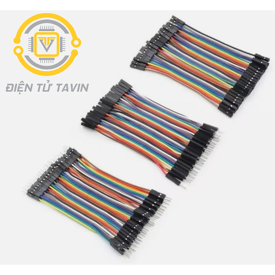 Dây bẹ cái - cái/ đực- cái/ đực- đực kích thước 10cm 15 cm 20cm 30cm