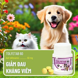 Thuốc viên giảm đau kháng viêm trị nhiễm khuẩn cho chó mèo gà gia súc gia cầm lọ 20 viên VB Pharma