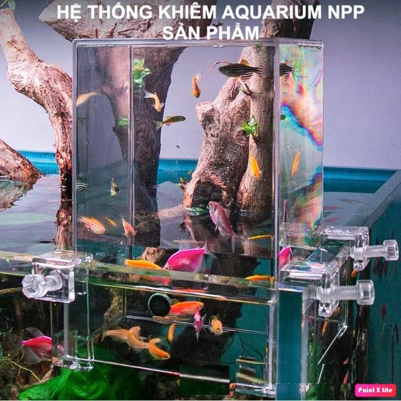 Box Acrylic VOONLINE - Box Úp Ngược Trang Trí Bể Cá
