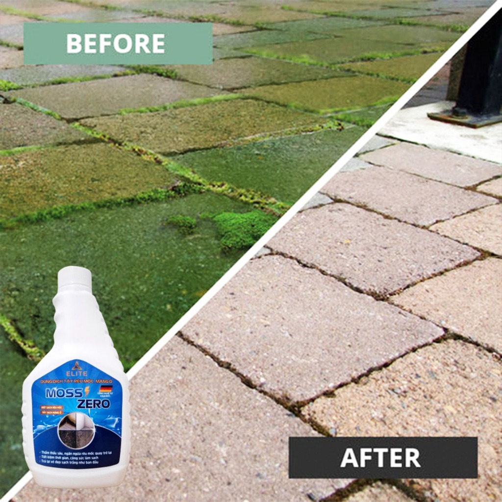 Dung Dịch Tẩy Rêu Mốc ELITE_MOSS ZERO, Tường, Sàn, Mái, Công Nghệ Đức, Ngăn Ngừa Rêu Mốc Quay Lại