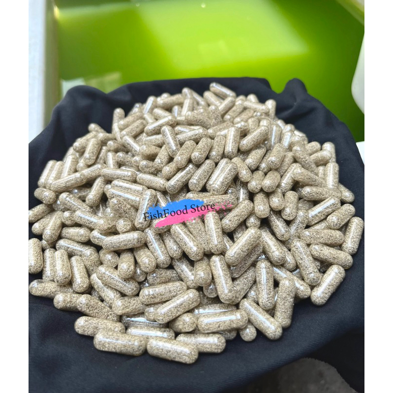 Combo tạo BoBo Thái & Cám đạm cao dùng để nuôi Bobo Thái-Artemia Mỹ-Artemia Vĩnh Châu giúp sinh khối