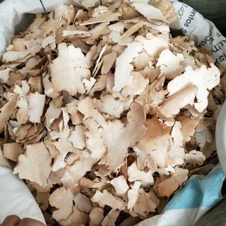Tỳ Giải sạch đẹp 100 gram.