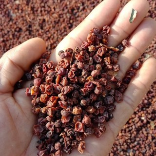 Ngũ Vị Tử sấy khô 100 gram.