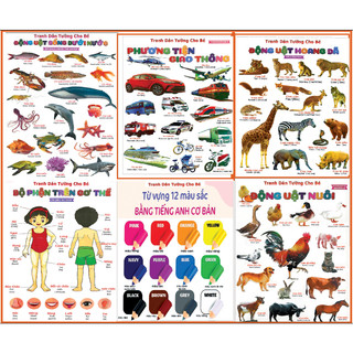  DECAL Dán Tường Bảng Chữ - Số - Động Vật - Hoa Quả - Phương Tiện Giao Thông cho bé yêu.. 
