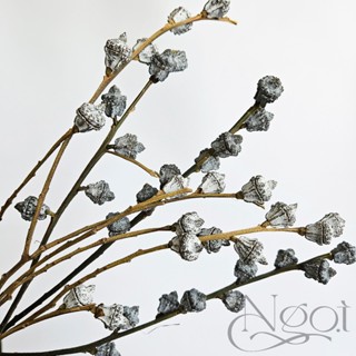 Cành quả bạch đàn - cành hoa khô cắm lọ, trang trí nhà cửa, đạo cụ chụp ảnh phong cách Vintage