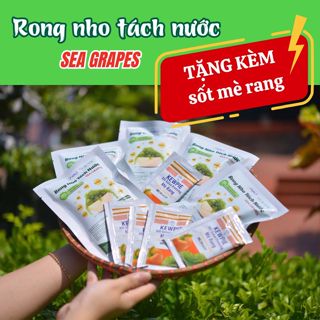 RONG NHO TÁCH NƯỚC + TẶNG KÈM NƯỚC XỐT MÈ RANG