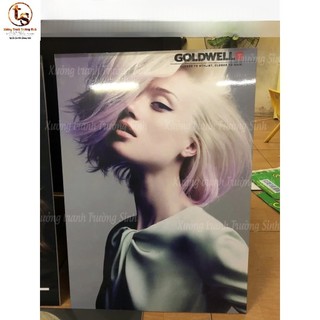 COMBO 5 TRANH TÓC NỮ , SALON