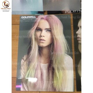 COMBO 5 TRANH TÓC NỮ , SALON