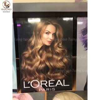 COMBO 5 TRANH TÓC NỮ , SALON