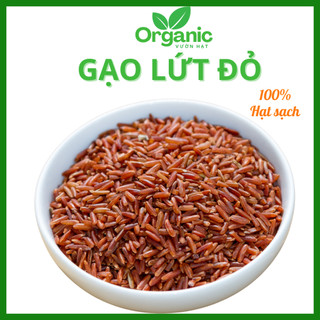  Gạo lứt huyết rồng hữu cơ hạt gạo lứt đỏ chất lượng 500gr 