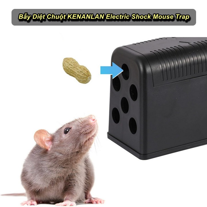 Máy Đuổi Chuột Điện Áp Cao Sử Dụng 4 Pin AA KENANLAN Electric Shock Mouse Trap - King Sport VN