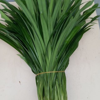 1kg lá dứa.la nếp tươi