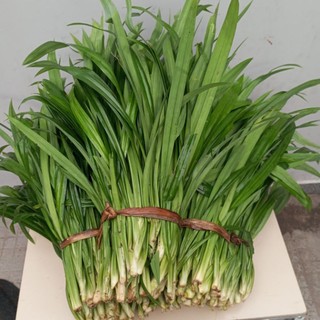 1kg lá dứa.la nếp tươi