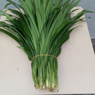 1kg lá dứa.la nếp tươi
