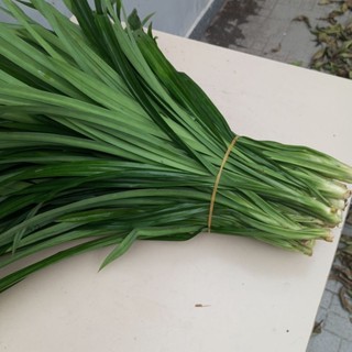 1kg lá dứa.la nếp tươi