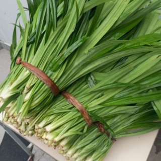 1kg lá dứa.la nếp tươi