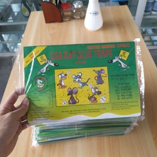 Combo 10 Cái - Keo Dính Chuột -Tấm Giấy - Hiệu Quả Cao - Keo Không Mùi