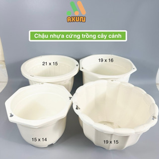 Chậu nhựa cứng tròn trắng size lớn 15x14cm và 21x15cm trồng sen đá dâu tay và cây cảnh bonsai