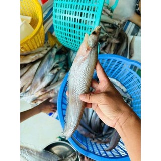 KHÔ CÁ KẾT. 500G 5CON (giao hỏa tốc)