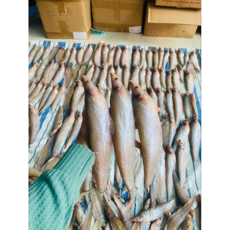 KHÔ CÁ KẾT. 500G 5CON (giao hỏa tốc)