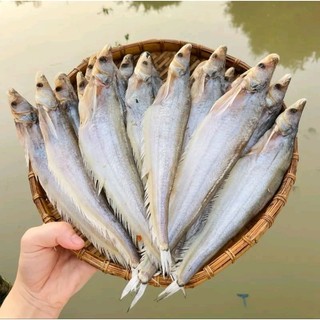 KHÔ CÁ KẾT. 500G 5CON (giao hỏa tốc)