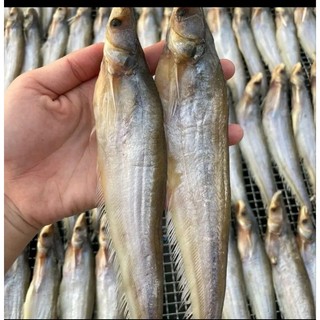 KHÔ CÁ KẾT. 500G 5CON (giao hỏa tốc)