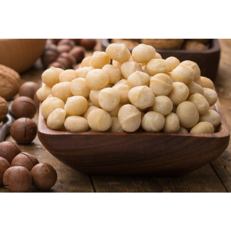 Nhân hạt macca ĐăkLăk sấy lạnh có tỉ lệ hạt vỡ đôi (hạt mắc ca nhân)