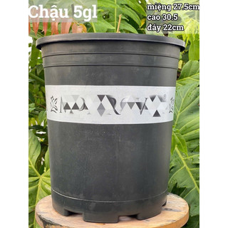 [Friendship Garden] Chậu chuyên trồng hồng các size ( mua 10 chậu bất kì tặng 1 chậu bạc hà âu euro mint )