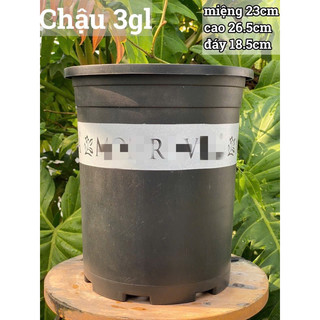 [Friendship Garden] Chậu chuyên trồng hồng các size ( mua 10 chậu bất kì tặng 1 chậu bạc hà âu euro mint )