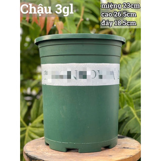 [Friendship Garden] Chậu chuyên trồng hồng các size ( mua 10 chậu bất kì tặng 1 chậu bạc hà âu euro mint )