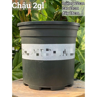 [Friendship Garden] Chậu chuyên trồng hồng các size ( mua 10 chậu bất kì tặng 1 chậu bạc hà âu euro mint )