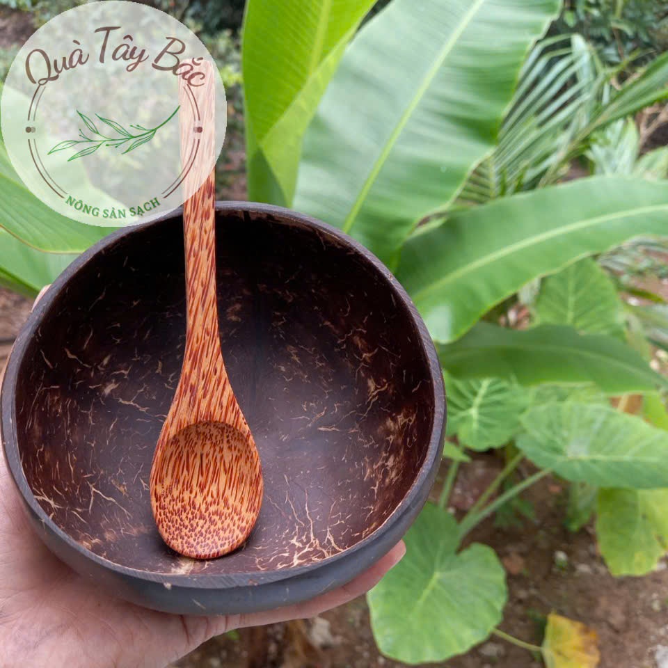 Bát Chén gáo dừa và Muỗng size lớn Loại 1 dùng để ăn ngũ cốc granola salad sữa chua hoa quả