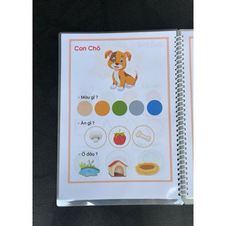 Học Liệu BÉ TRẢ LỜI CÂU HỎI THEO CHỦ ĐỀ 🌈