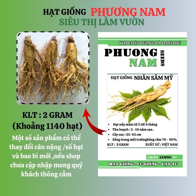 2 Gram - Hạt Sâm Mỹ Phương Nam