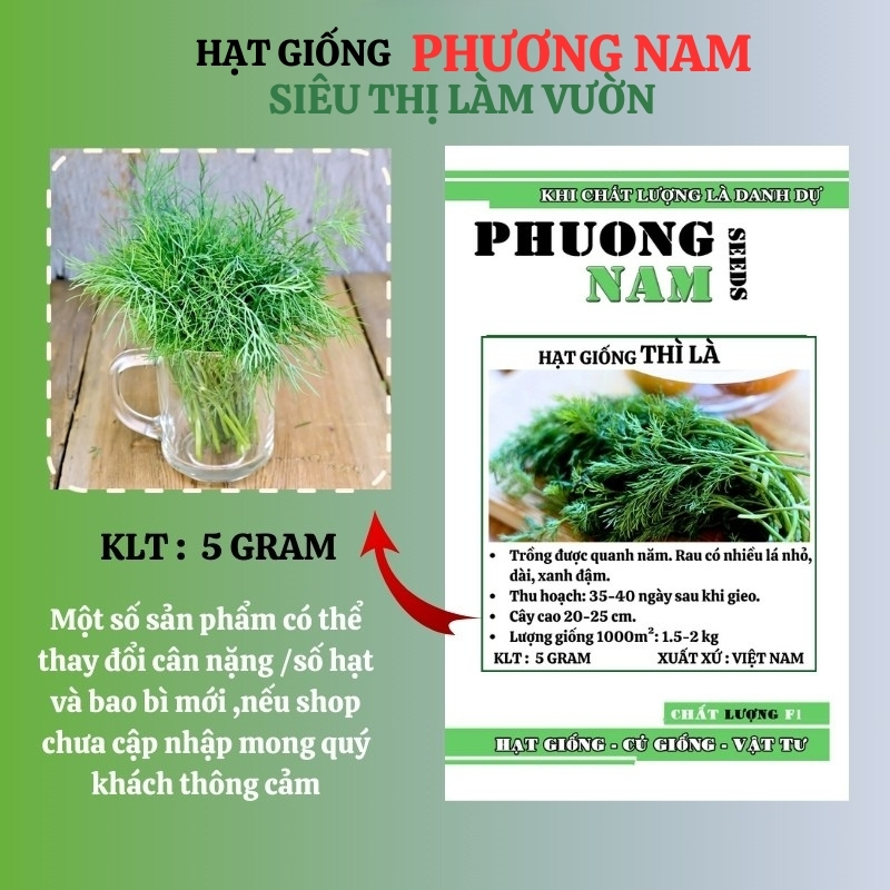 5 Gram - Hạt Giống Thì Là Phương Nam