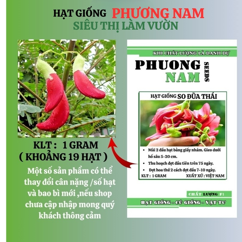 1 Gram - Hạt Giống So Đũa Tứ Quý Thái Bông Đỏ Phương Nam