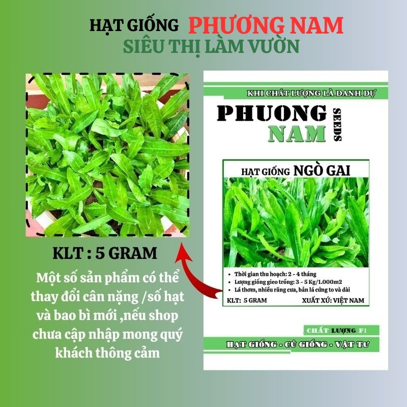 5 Gram - Hạt Giống Ngò Gai Phương Nam