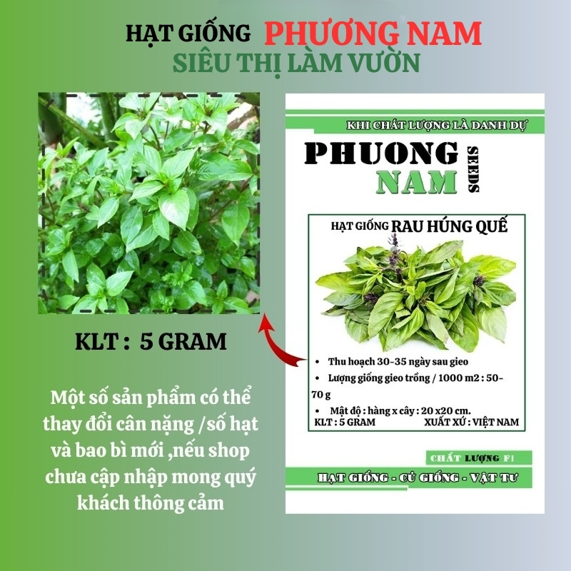 5 Gram - Hạt Giống Húng Quế Phương Nam
