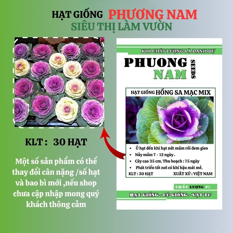 30 Hạt - Hạt Giống Hồng Sa Mạc - Hoa Bắp Cải Phương Nam