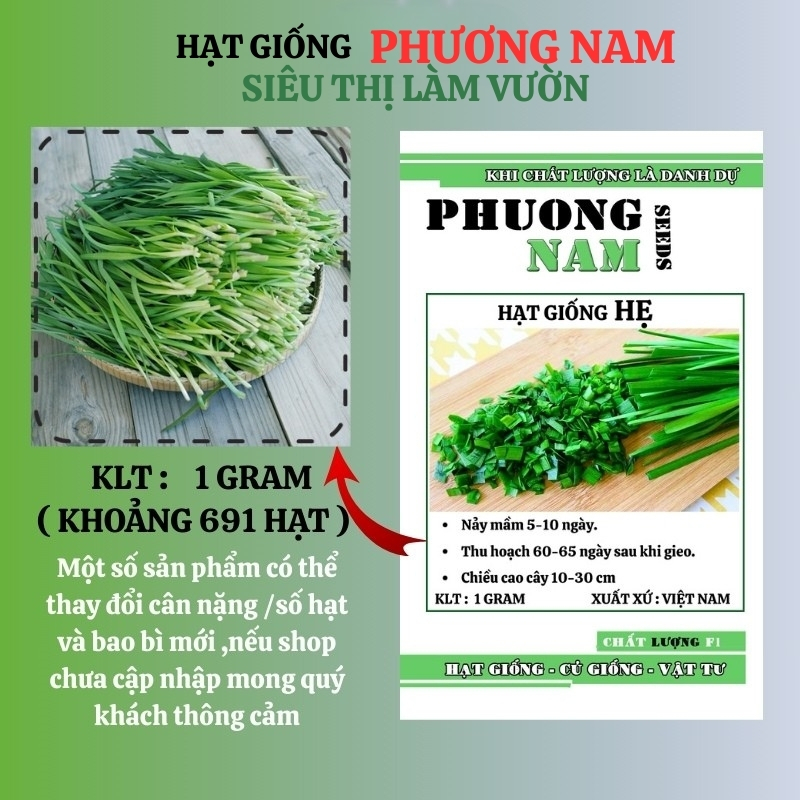 1 Gram - Hạt  Giống  Hẹ Phương Nam