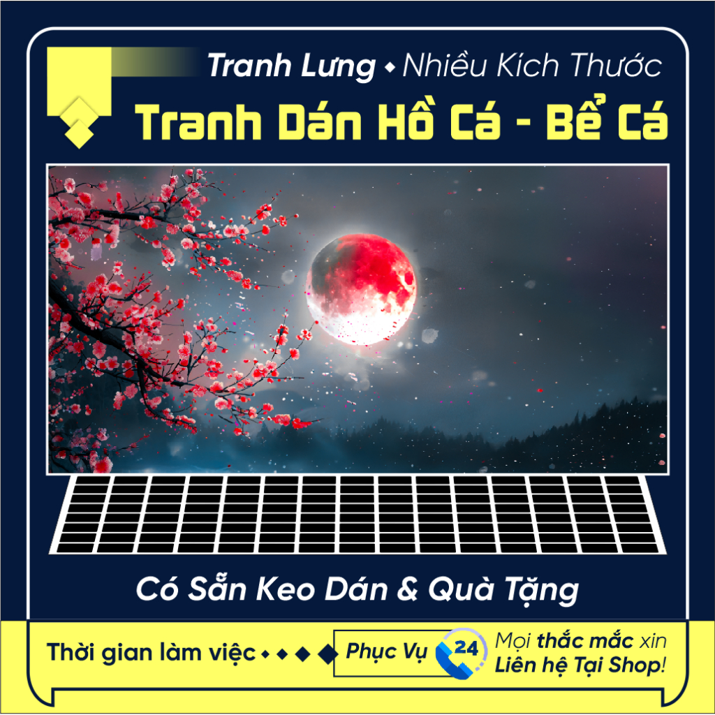 Tranh dán hồ cá 3d đẹp, tranh nền hồ cá, dán bể cá - Phông đen - Có Sẵn Keo Dán - Nhiều Kích Thước