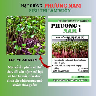 Hạt giống mầm củ cải đỏ phương nam