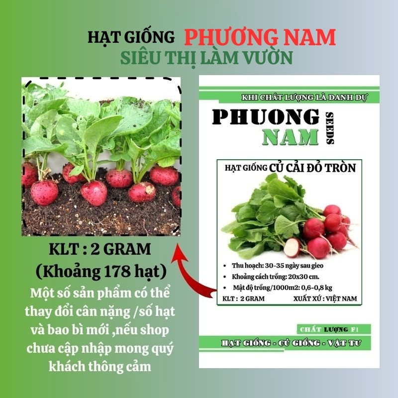 2 Gram - Hạt Giống Củ Cải Đỏ Tròn Phương Nam