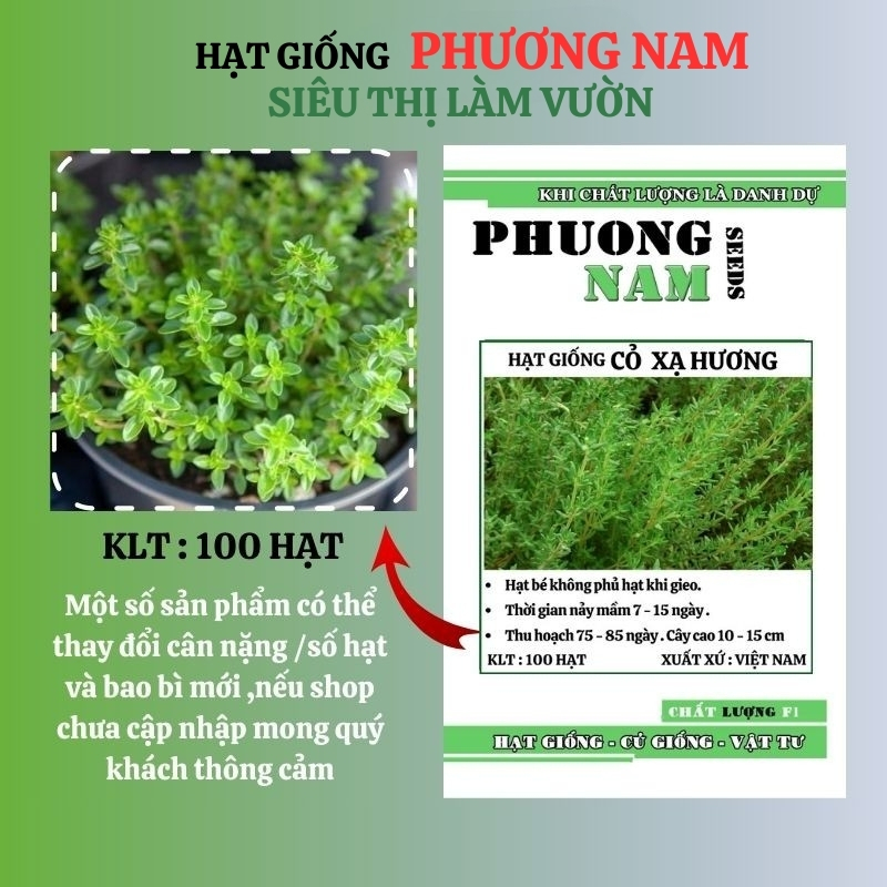 100 Hạt - Hạt Giống Cỏ Xạ Hương Phương Nam