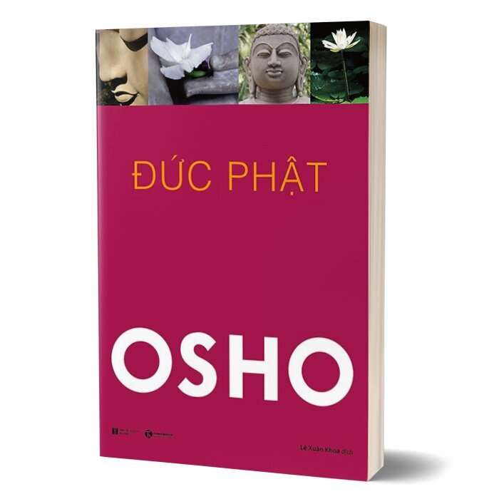 Sách - Osho - Đức Phật (Tái Bản 2025) - Thái Hà