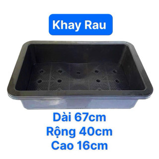 Combo 5 Khay Nhựa - Chậu Nhựa - Máng Nhựa Trồng Rau ( D67 x R40 x C16 )