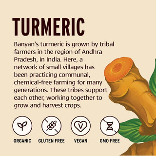 Banyan Botanicals Turmeric Powder - Bột Nghệ